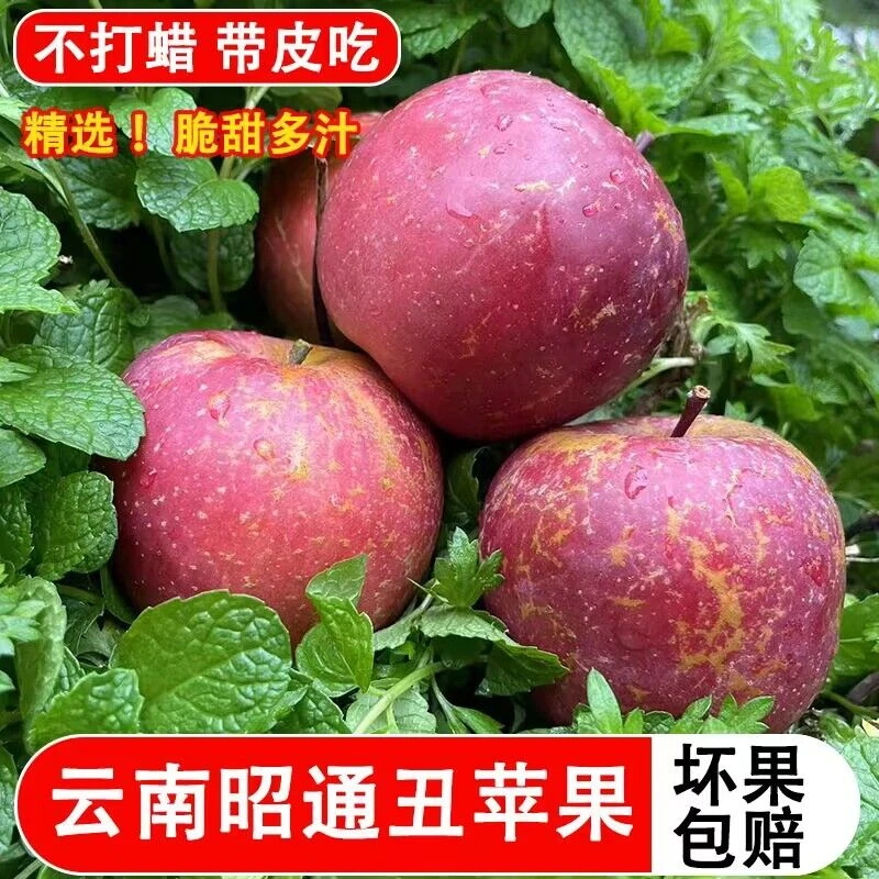 昭通丑苹果冰糖心红富士产地直销甜脆多汁应季包邮冰糖心苹果