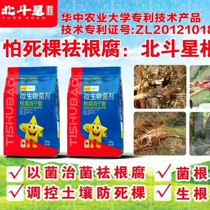 北斗星根腐消宁散防死棵祛根腐