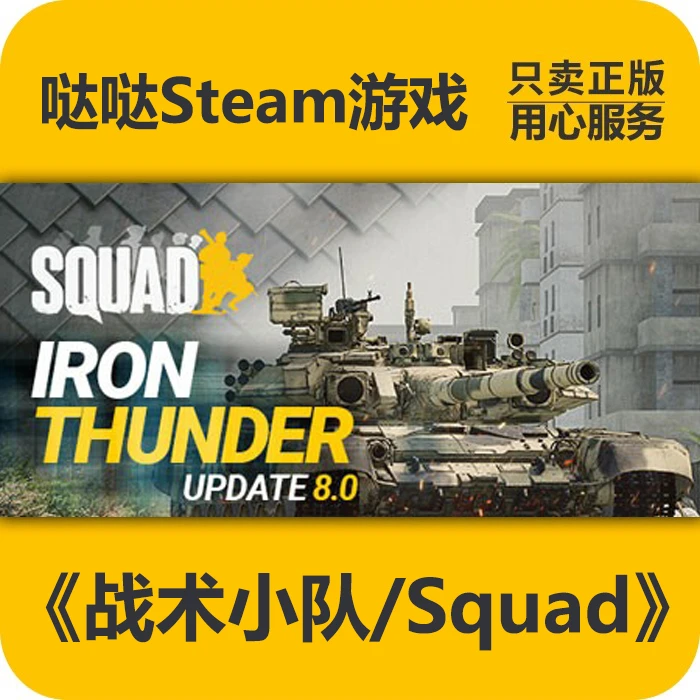 Steam正版 战术小队 Squad 国区  多人合作 CDK激活入库