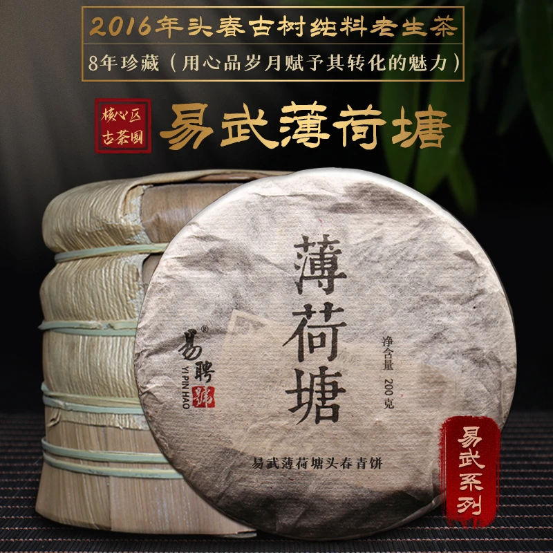 易聘号2016年易武薄荷塘头春古树纯料200g/饼8年藏普洱茶生茶老茶
