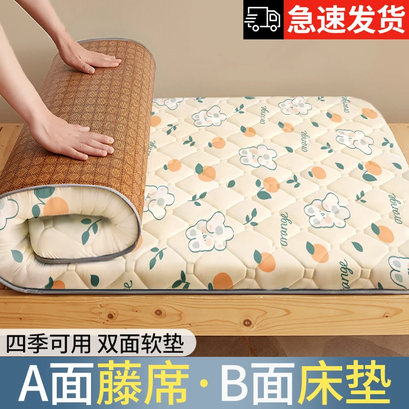 凉席床垫冬夏两用软垫家用榻榻米垫子四季通用单人学生宿舍租房gg