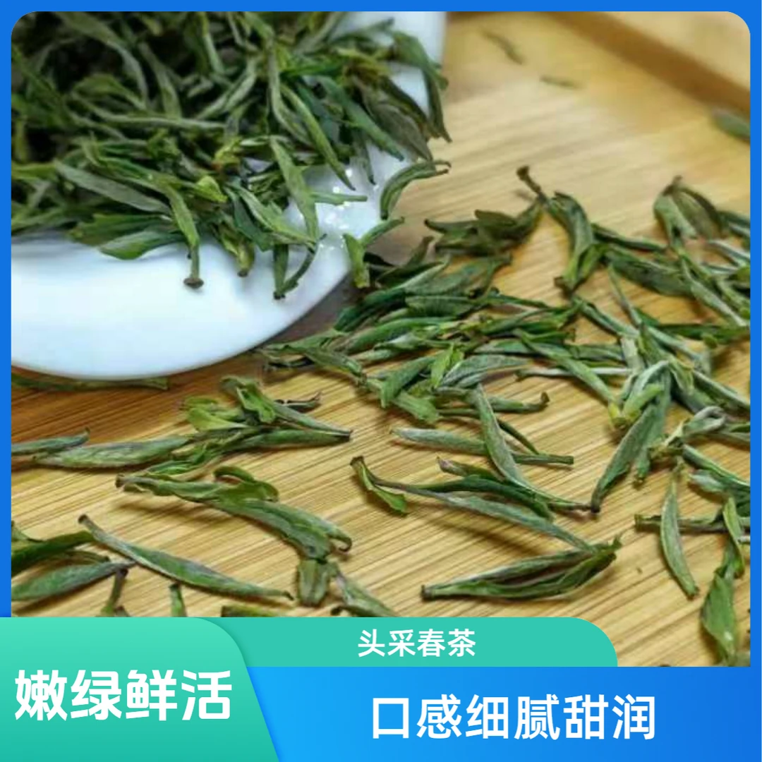 【豌豆鲜】A级毛峰2024日照绿茶/芽尖/滋味鲜/鲜嫩芽头/源头茶厂