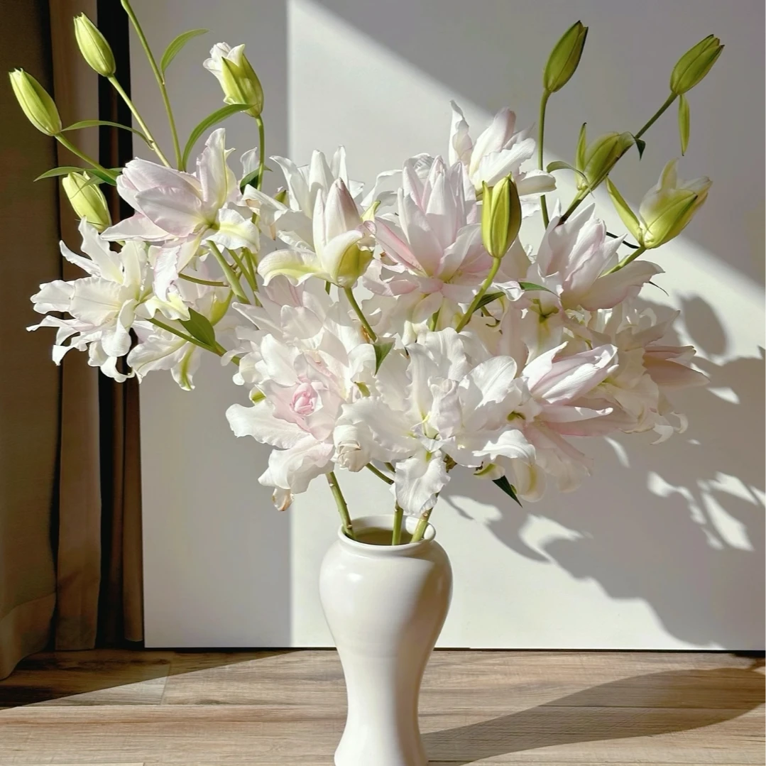 小殷【冰美人】买得一枝春欲来，进口重瓣香水百合界里面的爱马仕