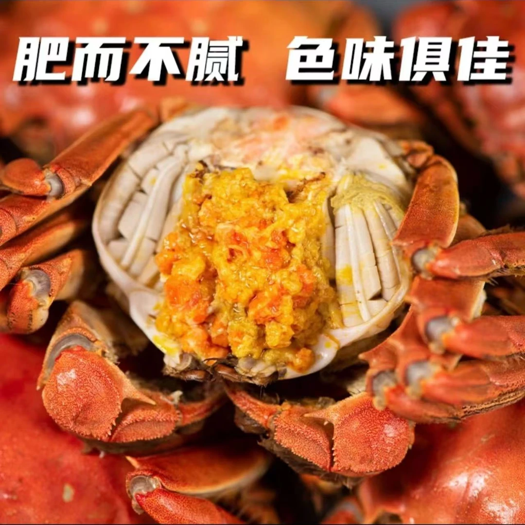Y【江苏活蟹】鲜活河蟹1.2-0.9两15只母 送10只公