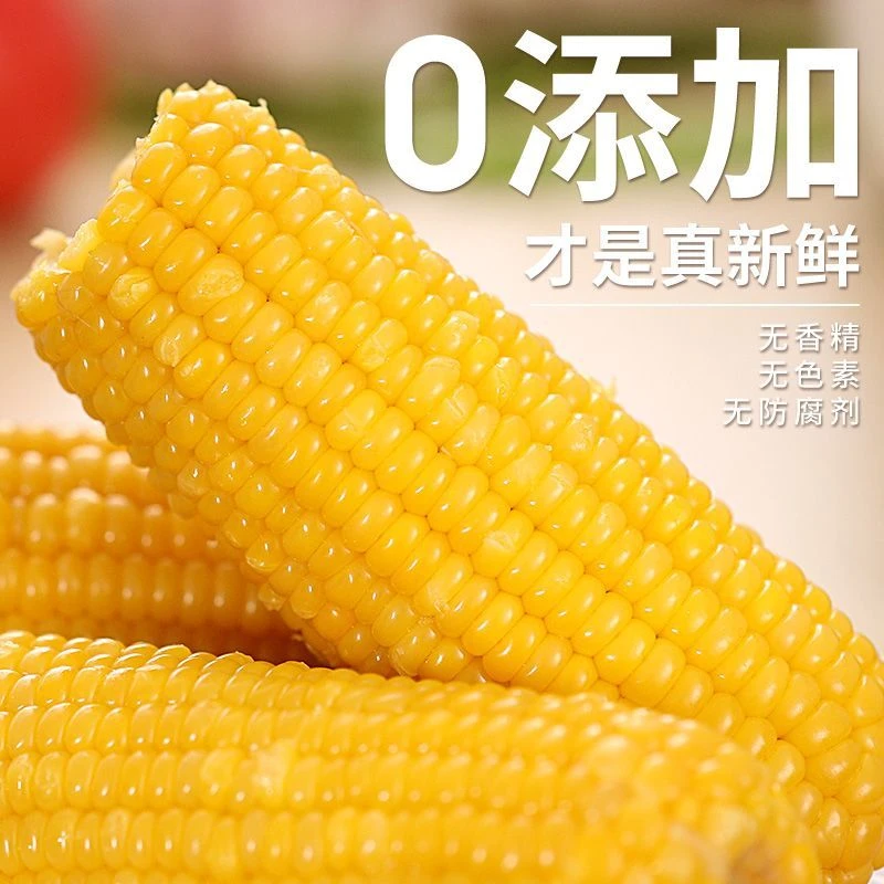 新鲜饱满黄糯玉米8根非转基因天然清甜粘玉米早餐蒸煮主食粗粮