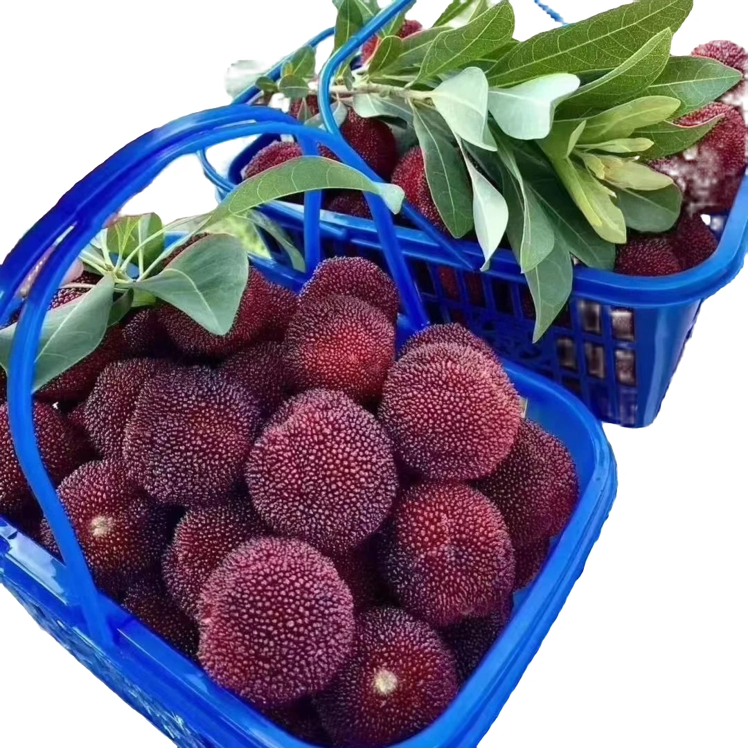 仙居杨梅新鲜荸荠水果礼盒一蓝装 俩蓝装现货