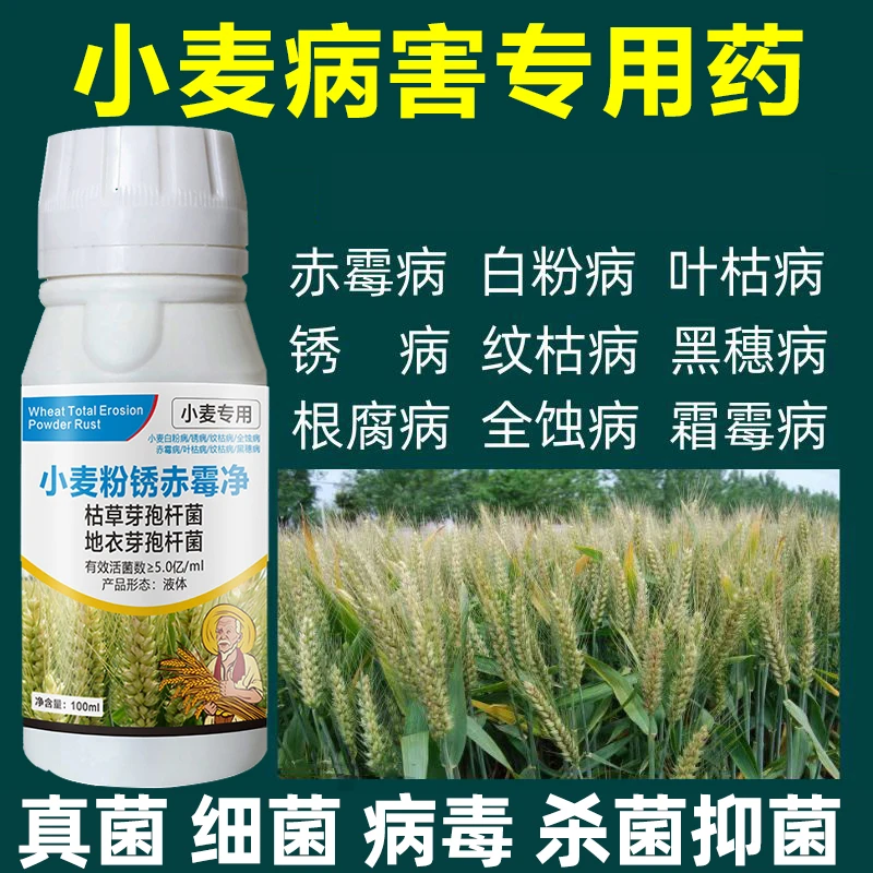 小麦病专用药小麦防治防虫干尖锈病赤霉病粉锈病茎基腐病叶面肥