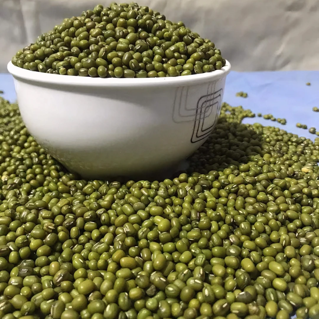 东北农家新绿豆煮粥,生芽1.5kg/2.5kg