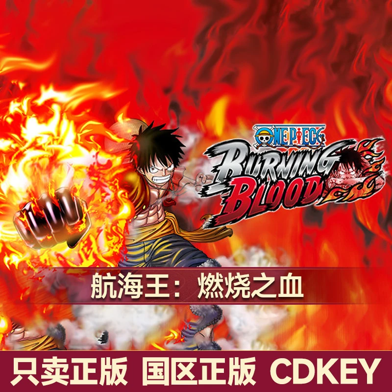 Steam游戏 航海王燃烧之血 Burning Blood 国区正版CDKey激活码