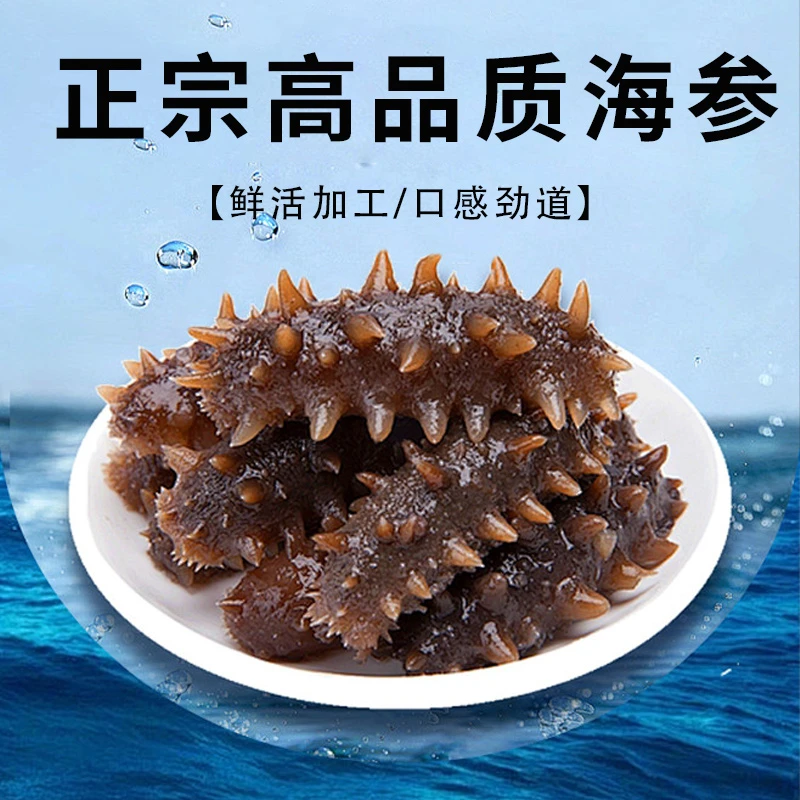 鲜食海参9A超大大连辽参500g