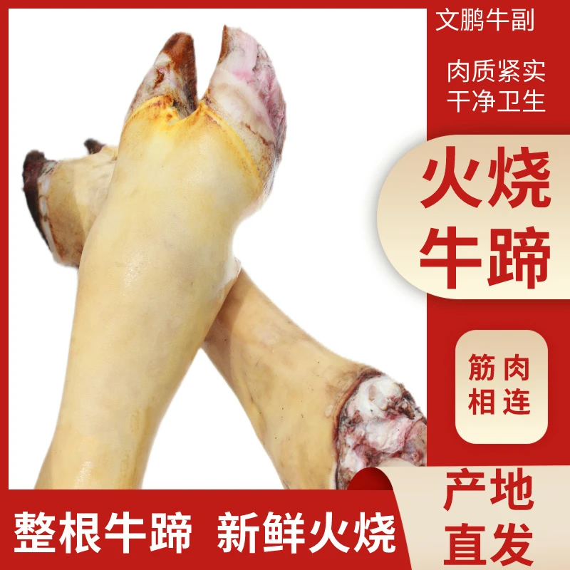 新鲜黄牛蹄带筋带骨髓整根可切块农家散养牛蹄子牛肉生鲜