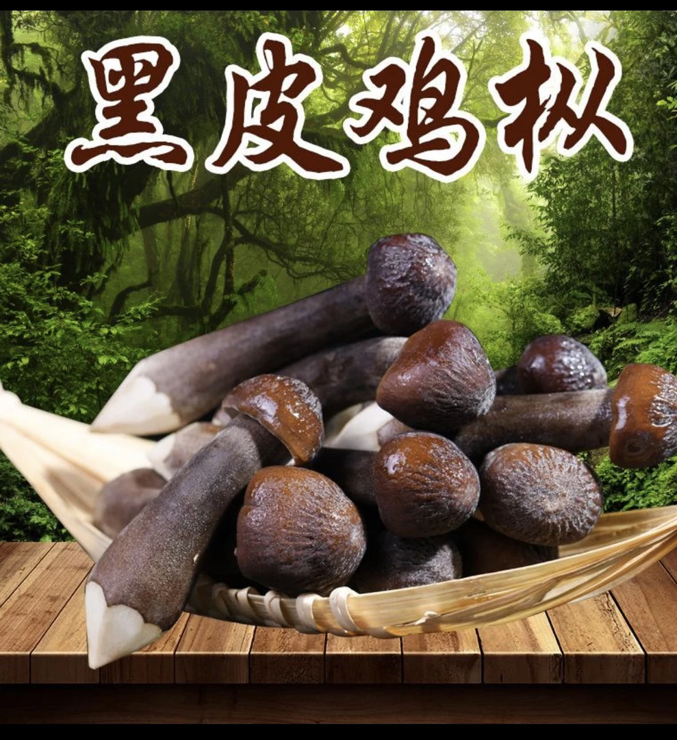 云南高海拔新鲜小黑皮鸡纵菌培植菌菇发鲜顺丰包邮