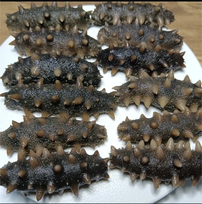 大连长海县深海半干海参(特价款)500g