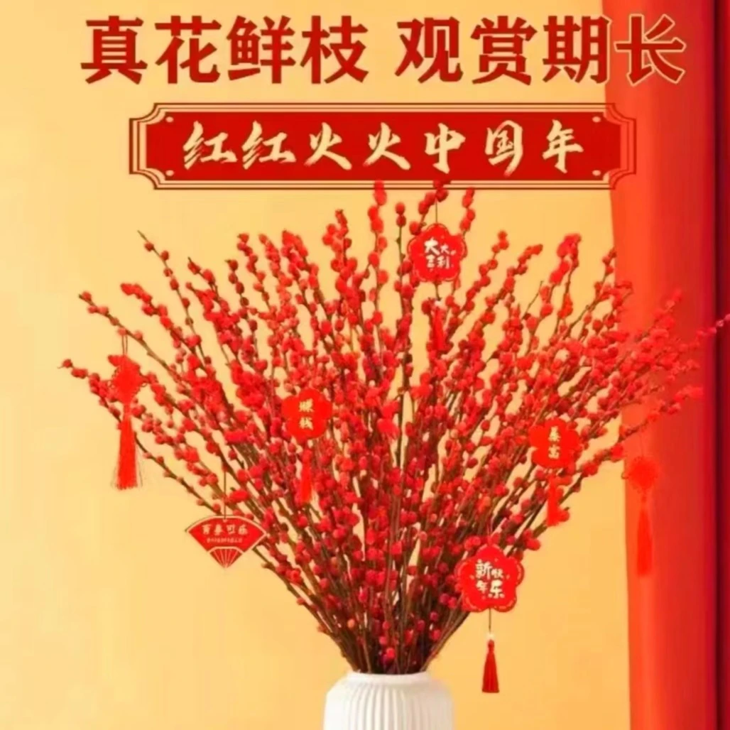 银柳 鲜花（送挂件) 真花 【冬季爆款新品 年宵花】红红火火 新鲜发