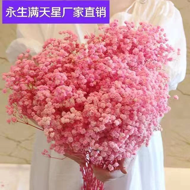 干花满天星花束 真花永生满天星 客厅插花持久摆放不变色花朵柔软