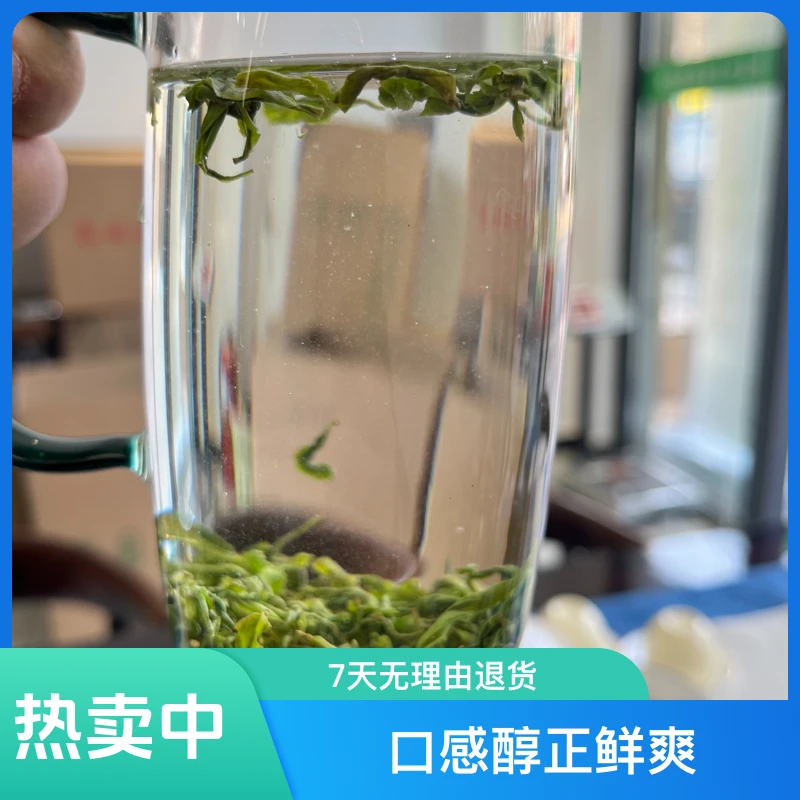 2025年新茶谷雨茶恩施高山绿茶高山云雾绿茶口感醇正鲜爽