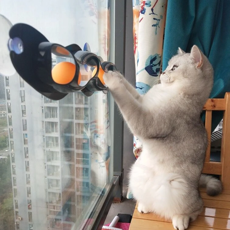 猫窗台玩具墙壁玩具猫轨道球球玩具猫咪吸盘球玩具解闷自嗨宠物