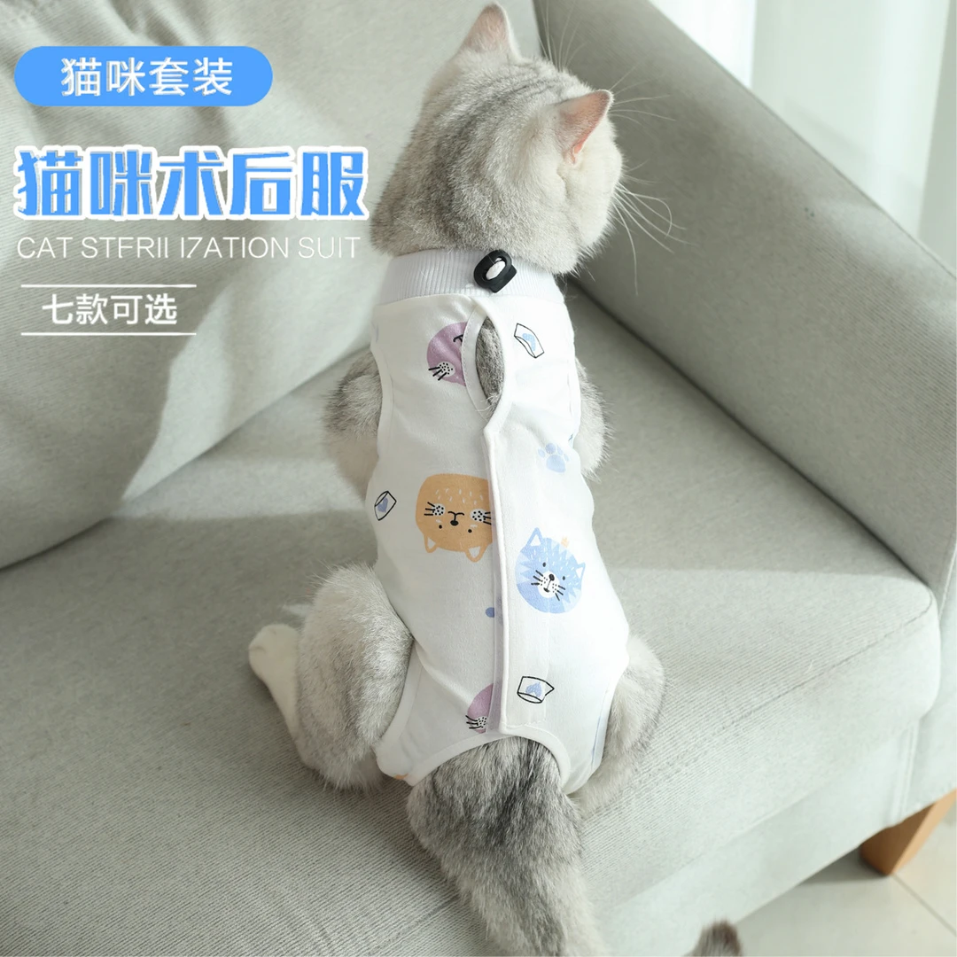 猫咪手术后绝育服新款防舔防脱防掉毛断奶生理裤宠物衣服母猫棉夏