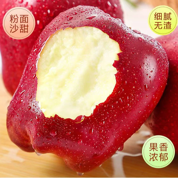 甘肃花牛苹果 枝头鲜果 脆甜多汁 当季水果 头茬鲜果  粉脆两吃