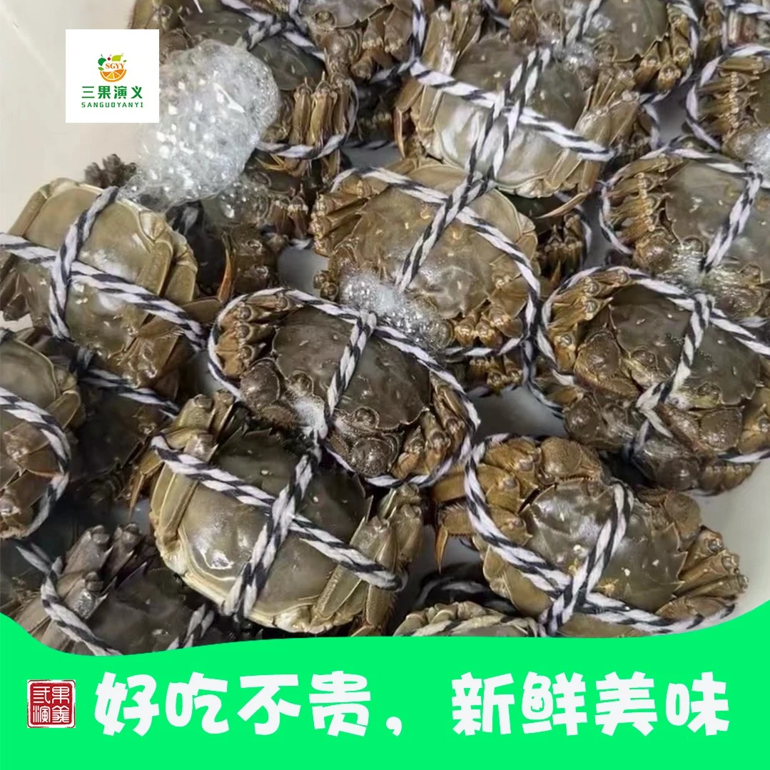 【鲜活大闸蟹3两规格1只】活蟹现发，到货后两小时之内死蟹包赔