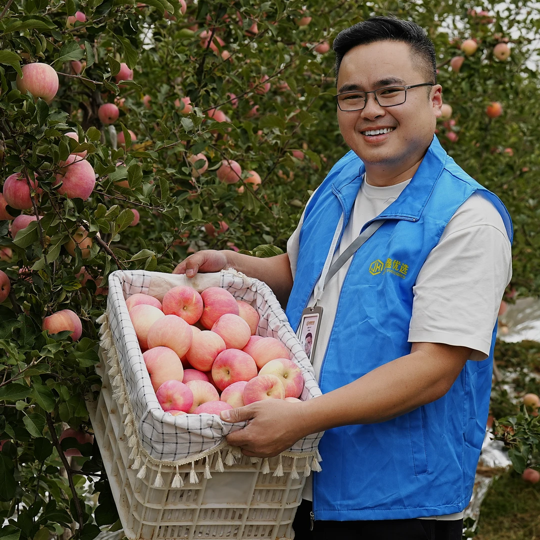 2024头茬苹果陕西高山红富士苹果新鲜现摘果园发货包邮新鲜到家