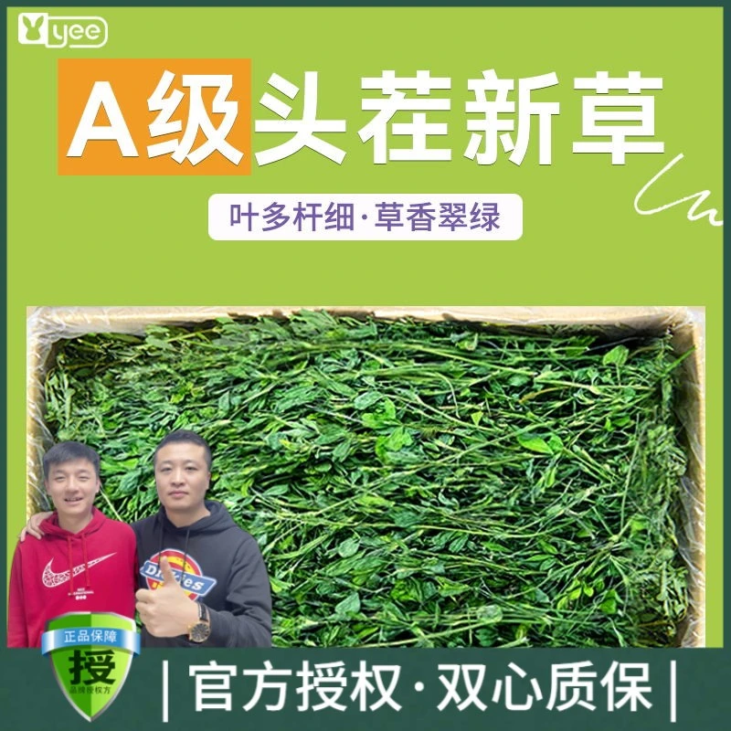 yee烘干紫花苜蓿草干草兔子食用草幼兔粮食龙猫荷兰猪饲料牧草
