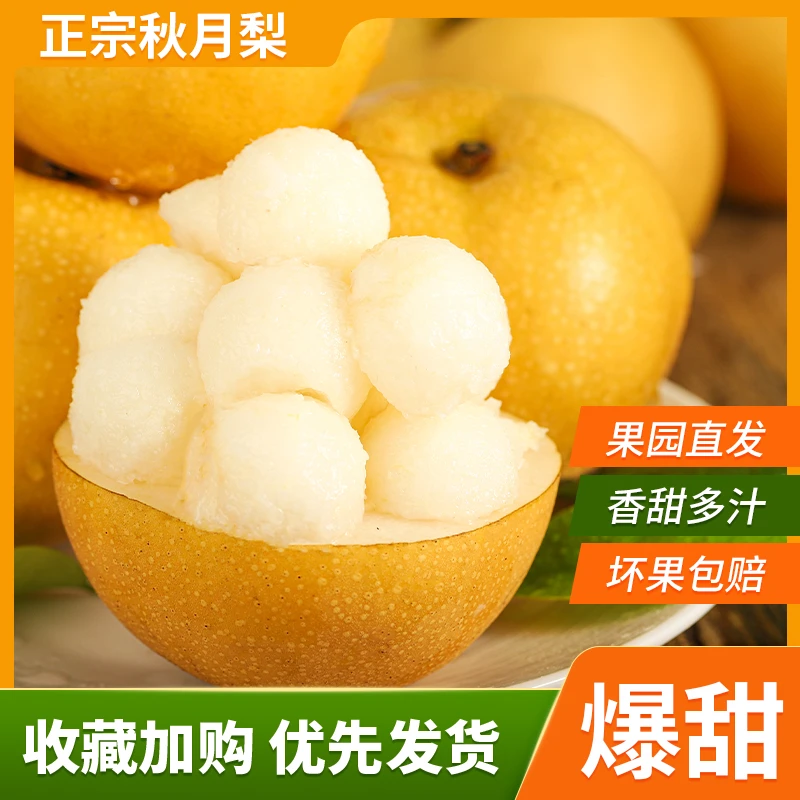 【村播助农】巫山高山秋月梨脆嫩化渣爆汁当季新鲜水果现摘现发