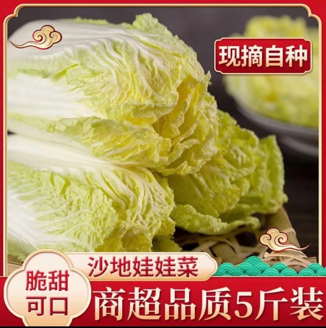 农家黄心娃娃菜清甜可口脆嫩爽口新鲜时令蔬菜火锅涮菜软糯香甜