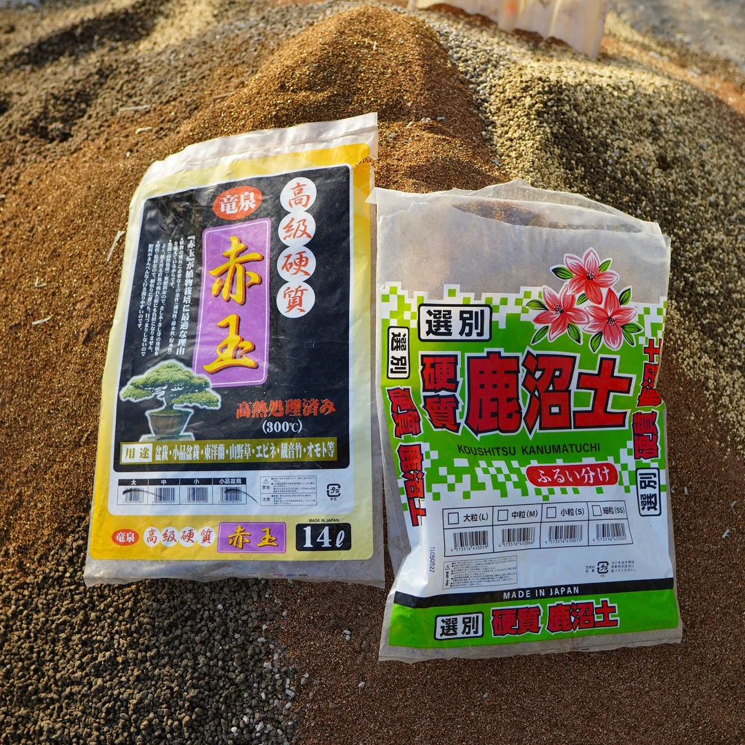 精品育苗基质营养土泥炭土主打营养土无颗粒