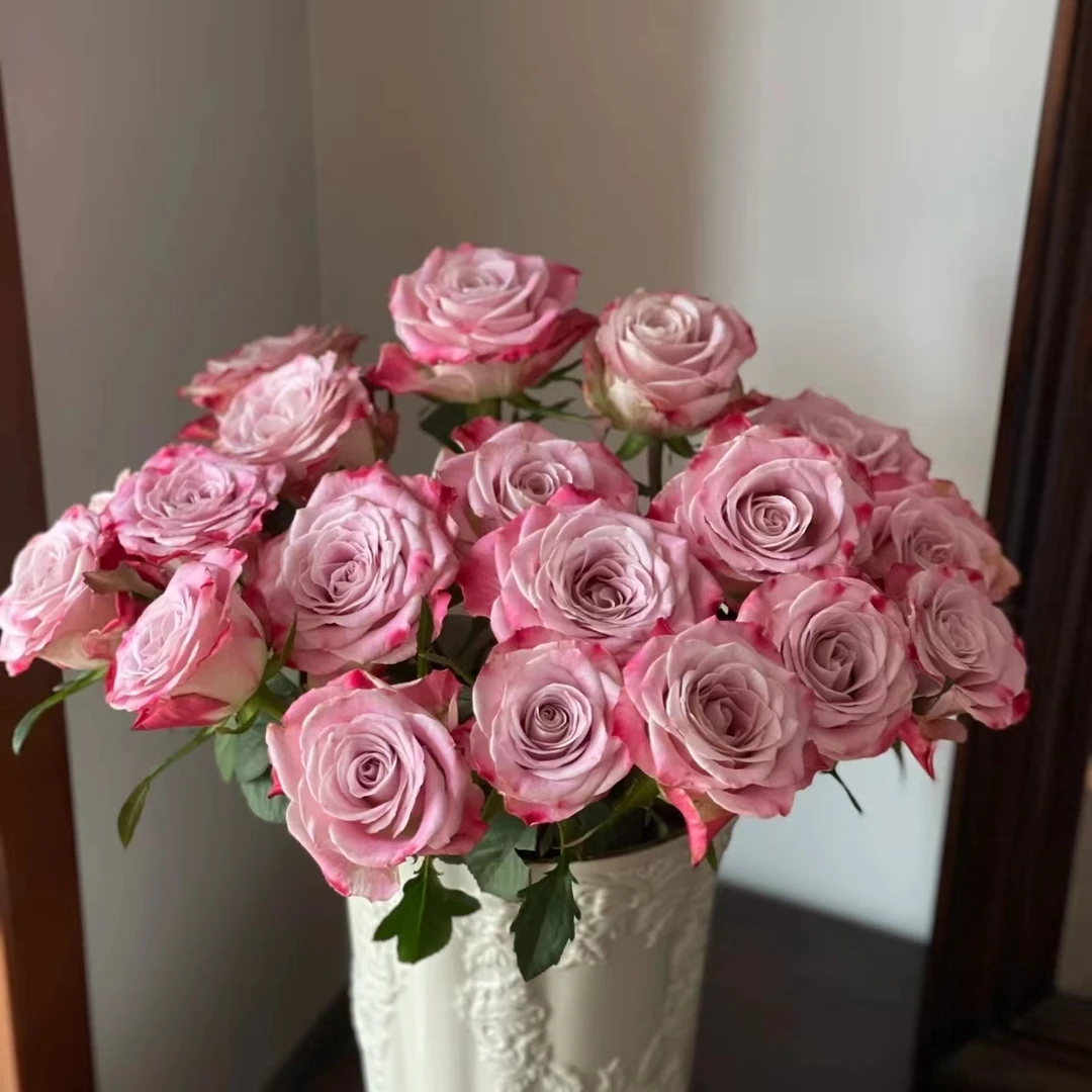 方德荷冠套餐：10枝爱慕+10枝经典艾莉森+10枝雪山  杆子细花头小