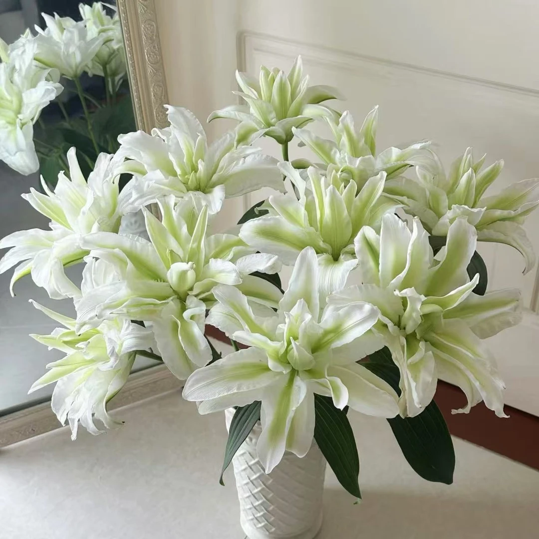 3枝爱莎三头百合9个花苞【两单顺丰冷链或京东空运】云南鲜花