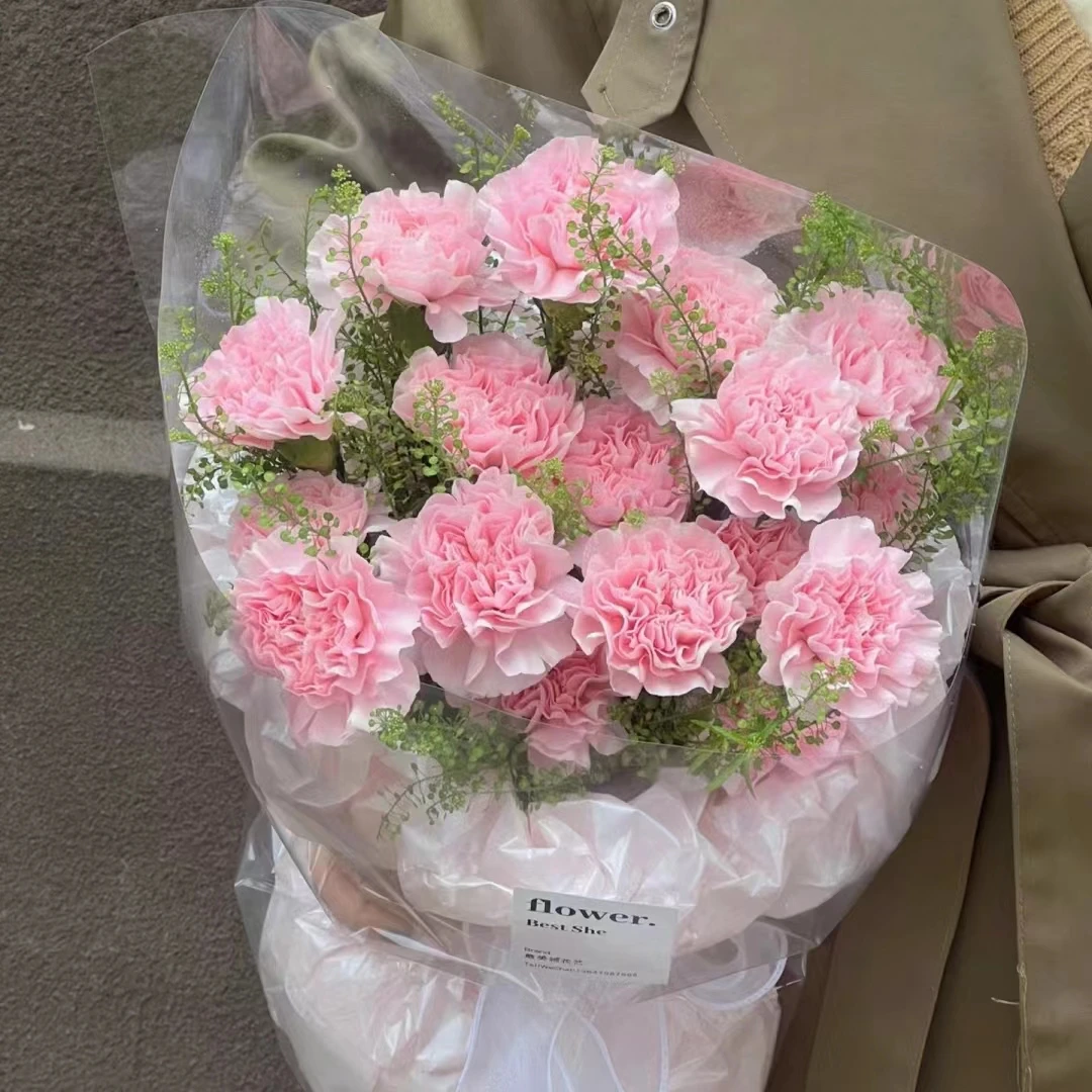 康乃馨鲜花云南直发送妈妈礼物家用水养康乃馨花束