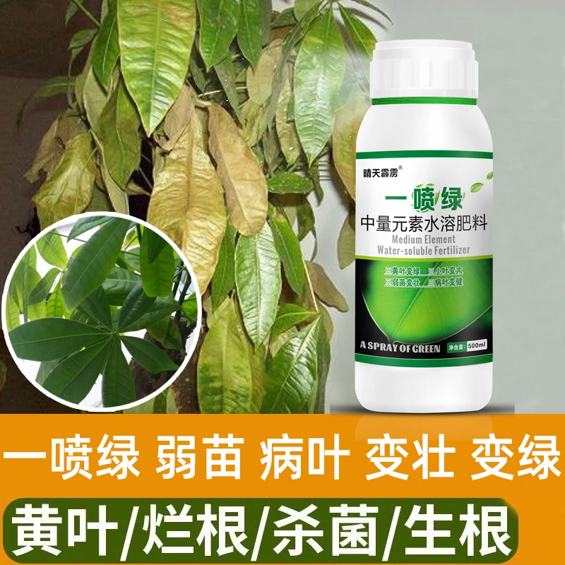 一喷绿叶面肥水溶肥叶绿素植物通用肥料中微量元素水溶肥农用进口