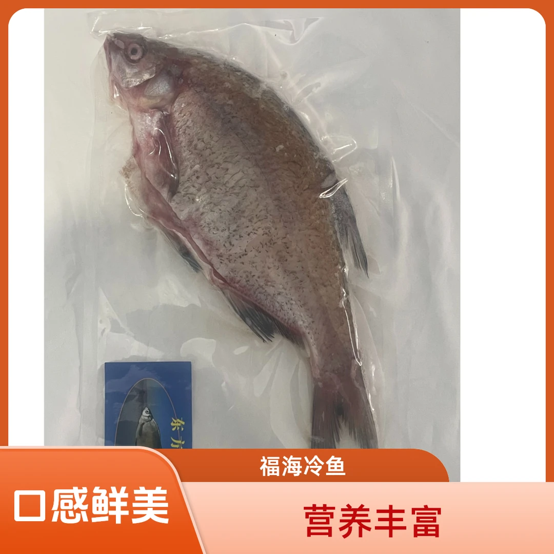 福海冷水鱼东方欧鳊 肉质肥嫩鲜美到手2kg左右（误差20g左右）