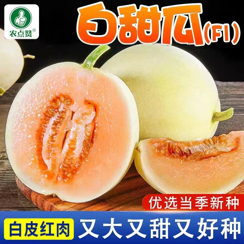 【拍2发3】脆甜白香瓜种籽   白甜1号  庭院盆栽四季春季易种酥脆