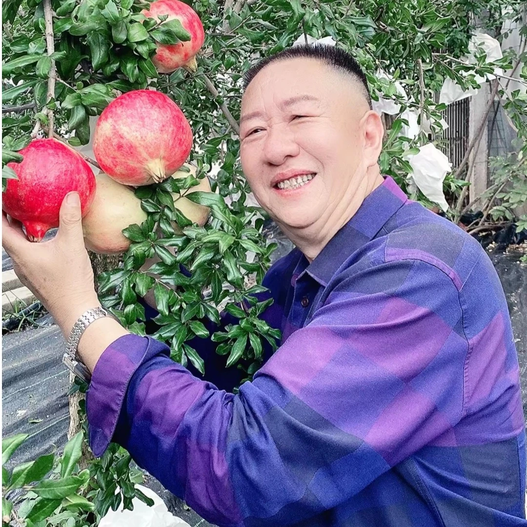 会泽盐水软籽石榴