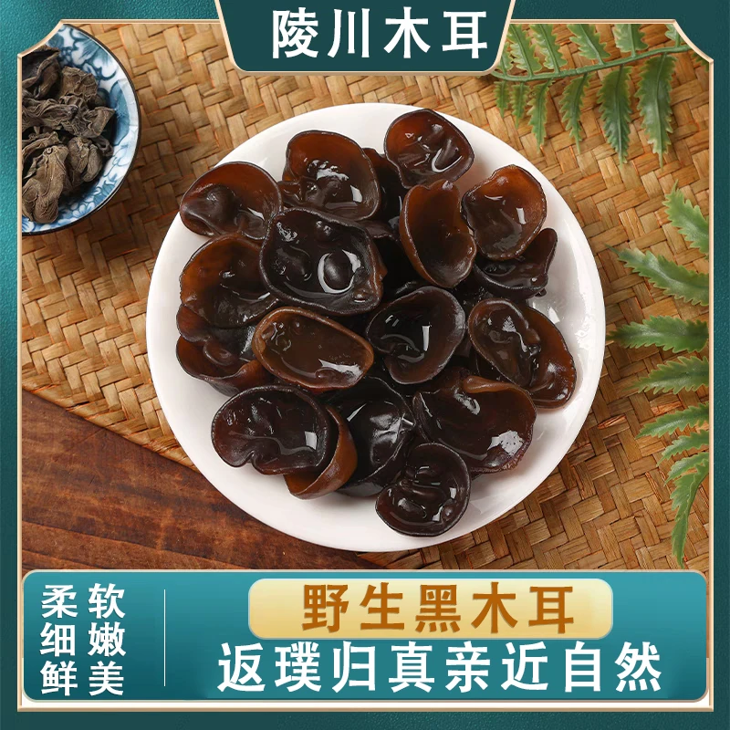 陵川县黑木耳好吃的黑木耳凉菜炒菜木耳木头