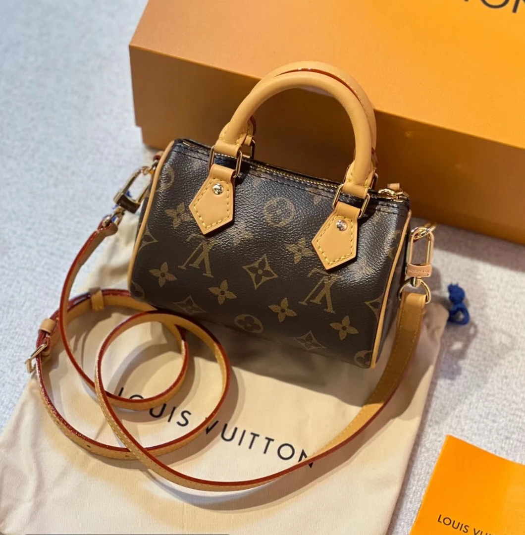 全新未使用 LouisVuitton/路易威登 lv speedy nano 包包
