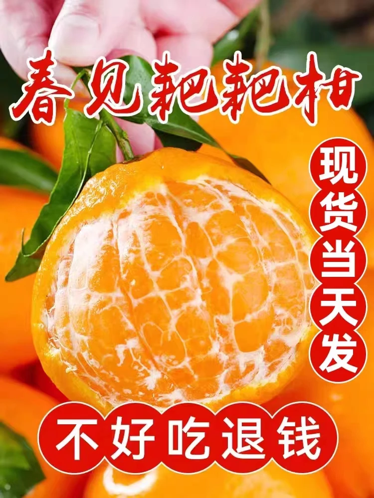 四川正宗生态精品春见耙耙柑丑八怪新鲜严选爆甜大果应季爽口整箱