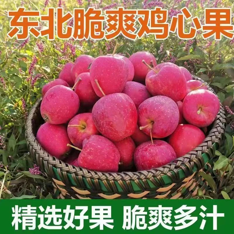 【24.8/5斤】正宗东北高山鸡心果酸脆甜24.8到手5斤