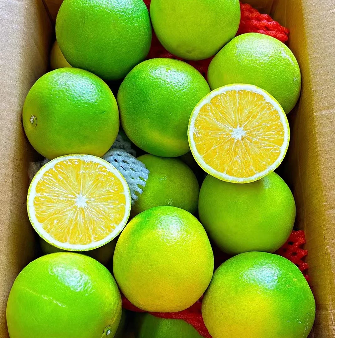 云南哀牢山冰糖橙皮薄多汁香甜高山新鲜水果