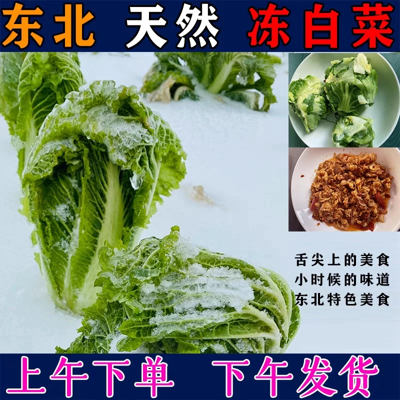 东北特产冻白菜扒了棵嫩白菜自然冷冻蘸酱美食5斤10斤