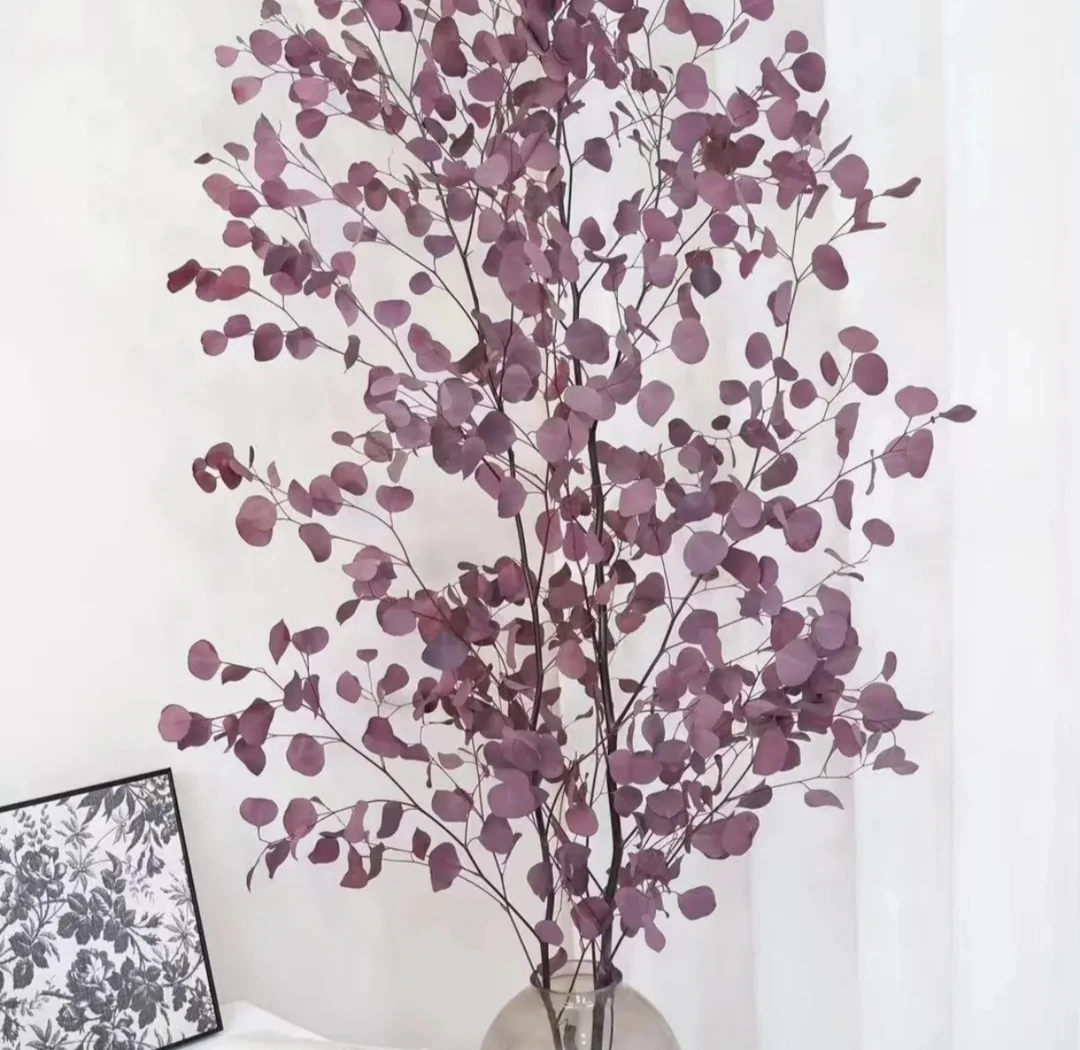 【云曦自营】落地款紫绿双色苹果尤加利叶调性花材永生花高端小众