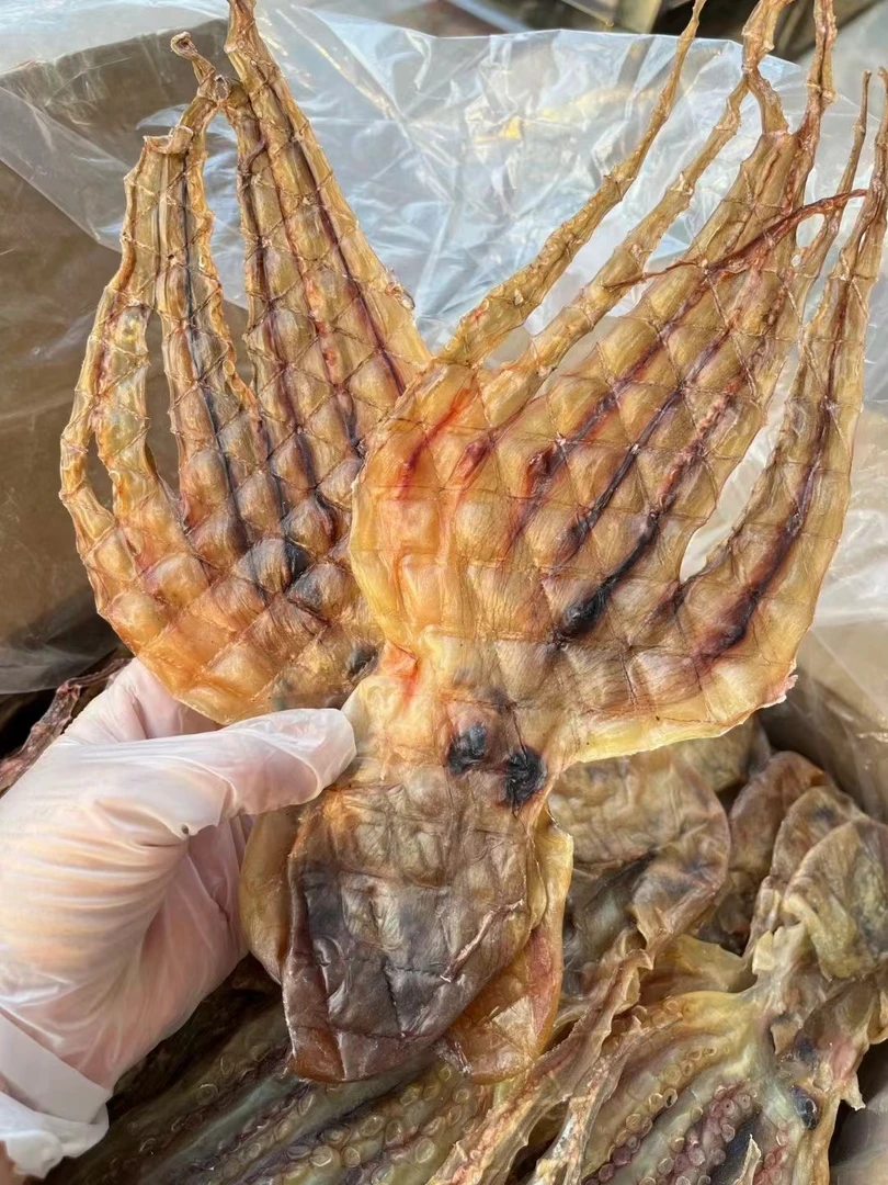 腾晴老友记 13-14头章鱼250-500g
