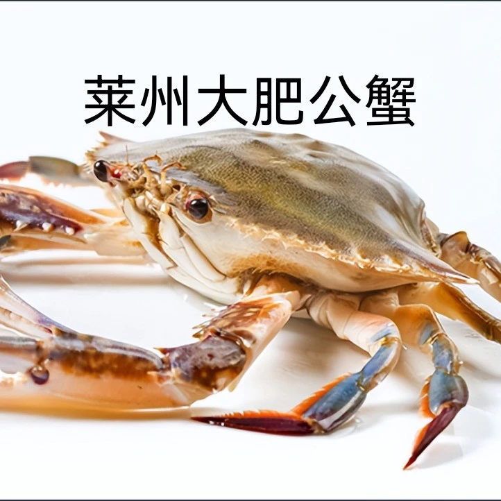 莱州大公蟹（单只6两以上）活蟹发货顶盖肥【保鲜不保活】斤数可选