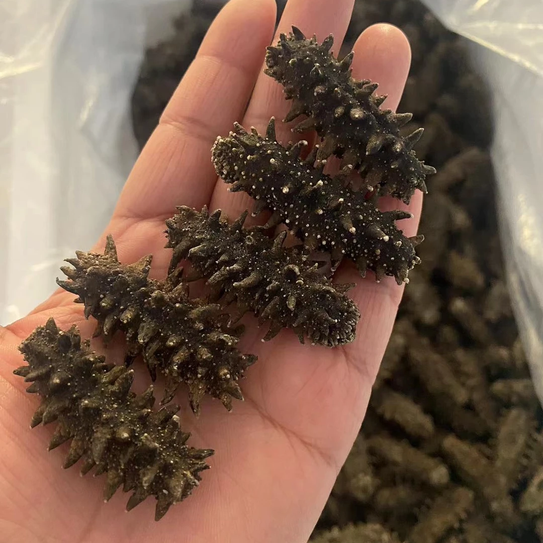 国标底播野生辽刺干海参，赠送精品礼盒，附带鉴定证书！