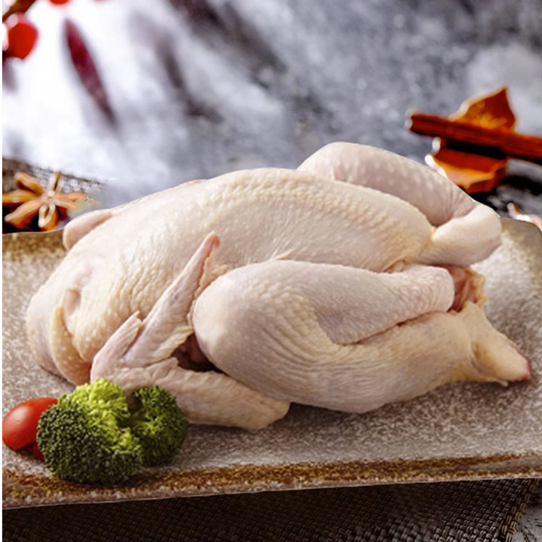 温州红鸡（童子鸡）肉质鲜嫩温州古老鸡种脖子长腿长好斗温州人必吃