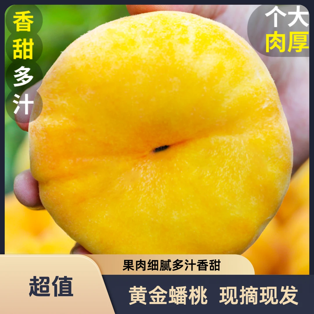 【黄金蟠桃】正宗蒙阴黄蟠桃 新鲜现摘应季水果 新鲜黄桃蜜桃黄蟠桃
