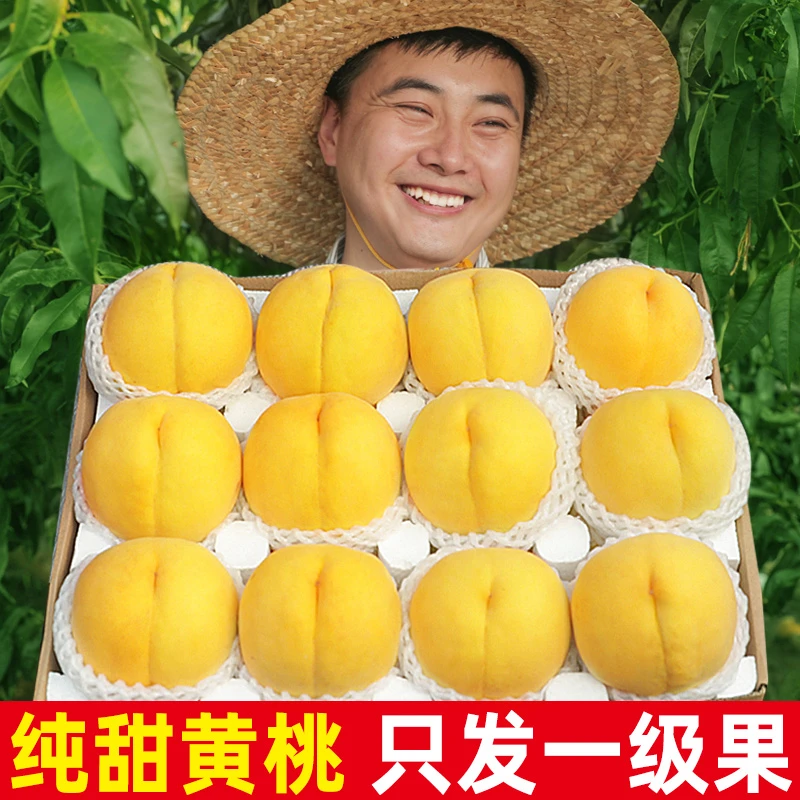 【蒙阴黄桃】正宗山东蒙阴黄桃 新鲜水果 香甜脆爽桃子 锦绣黄毛桃