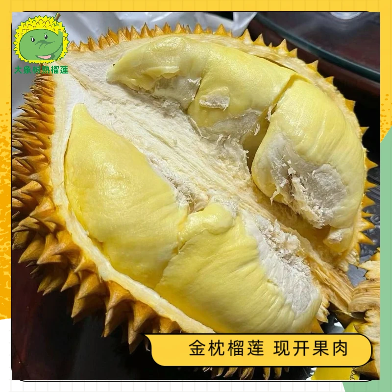 【青岛市南】纯果肉（1.5斤）A级金枕榴莲新鲜现开 青岛小时达【大象树熟榴莲】